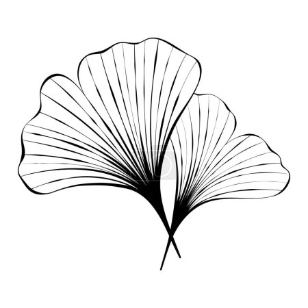 Illustration for Ginkgo leaf sketch. Black and white clip art isolated on white background. Vector illustration for logo design, print, tattoo - Royalty Free Image