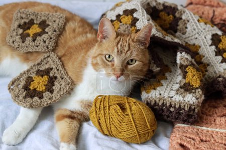 Téléchargez les photos : Chat roux mignon jouant avec boule de laine et crochet sur un lit. Concept de maison confortable. - en image libre de droit