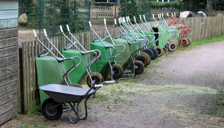 Foto de Las carretillas verdes en fila en un día soleado en la granja. Concepto de vida rural. - Imagen libre de derechos