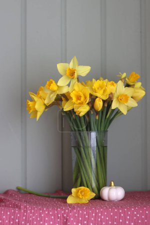 Téléchargez les photos : Bouquet de jonquilles jaunes. Concept de la saison de Pâques. Carte de voeux de Pâques. - en image libre de droit