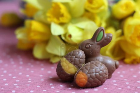 Easter chocolate bunnies and daffodils on pink tablecloth. Bright and colorful Easter card.