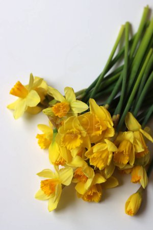 Bouquet of yellow daffodils. Easter season concept. Easter greeting card.