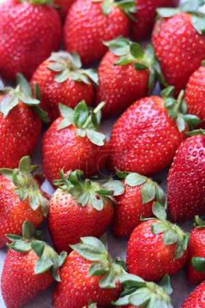 Fond de fraise. Baies biologiques juteuses close up photo. Texture de fruits d'été. Fraises fraîches d'en haut remplissant le cadre