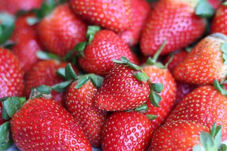 Red ripe strawberries background. Strawberry texture close up photo. Fresh organic berries macro. Eating fresh concept. 