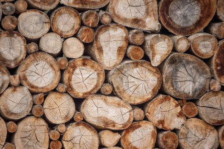 Photo for Wooden logs stacked close-up - Royalty Free Image