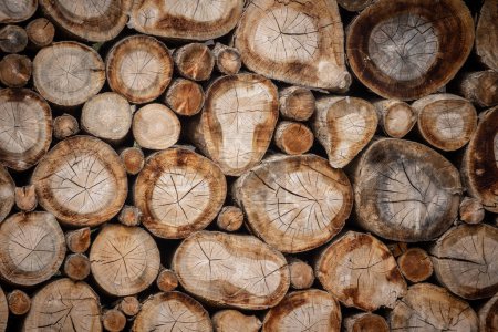Photo for Wooden logs stacked close-up - Royalty Free Image