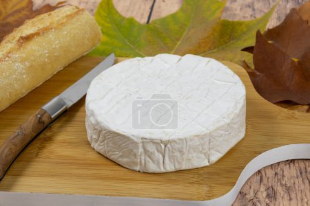 Téléchargez les photos : Coulommiers fromage et baguette close up - en image libre de droit