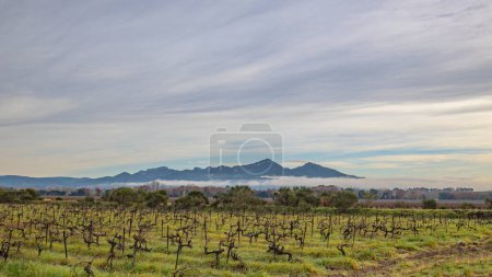 Photo for View of the mountains near the town of Rasteau in the Vaucluse - Royalty Free Image