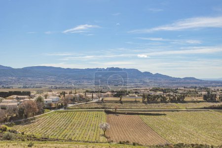 Photo for Landscape of vineyards and fields in the south of France - Royalty Free Image