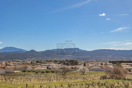 Photo for Landscape of vineyards and fields in the south of France - Royalty Free Image