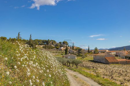 Photo for View of the village of Rasteau - Royalty Free Image