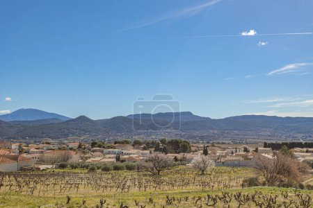 Photo for Fields of vines, with the village of Rasteau in the background - Royalty Free Image