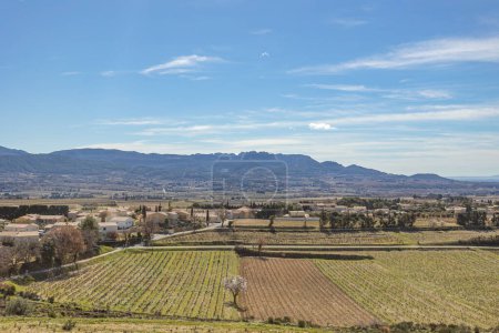 Photo for Fields of vines, with the village of Rasteau in the background - Royalty Free Image