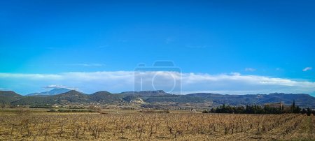 Photo for Landscape of vineyards near the town of Rasteau in Vaucluse (France) - Royalty Free Image