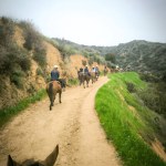 group of people taking a horseback ride on the paths of the Hollywood Hills