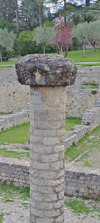 Vestige romain - Ancien site de Puymin, ville de Vaison la Romaine (Vaucluse, France))