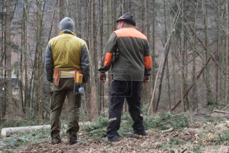 Téléchargez les photos : Travailleurs forestiers dans une forêt travaillant ensemble en équipe - en image libre de droit