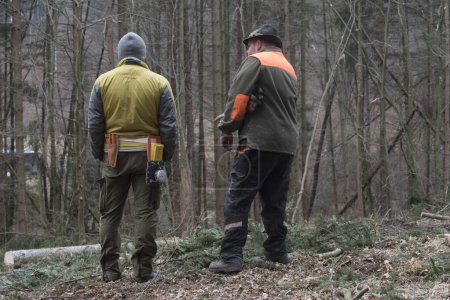 Téléchargez les photos : Travailleurs forestiers dans une forêt travaillant ensemble en équipe - en image libre de droit