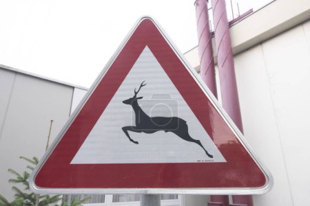 Foto de Atención tráfico de cruce de animales o señal de tráfico, triángulo rojo como aviso de advertencia - Imagen libre de derechos