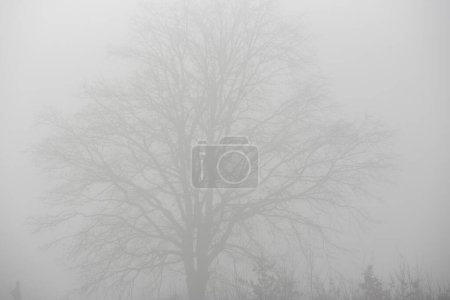 Photo for Air pollution and climate change, environmental protection and reducing of pollutant emissions - Royalty Free Image