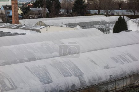 a greenhouse or glasshouse for the production of vegetables and plants