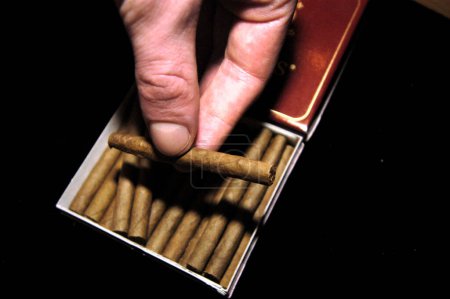 the smoking of cigars, cause of drug and nicotine addiction