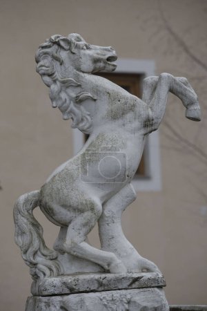 El Lipizzaner un caballo famoso y un icono