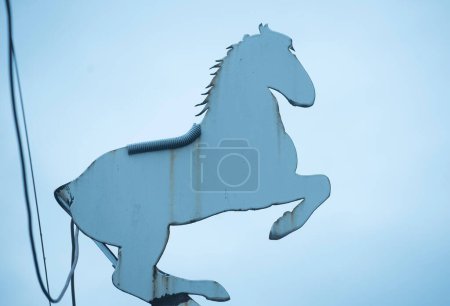 Foto de El Lipizzaner un caballo famoso y un icono - Imagen libre de derechos