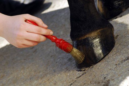 Caring for horses as a loving task