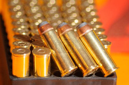 ammunition or rounds for a gun or a firearm, shooting ammo