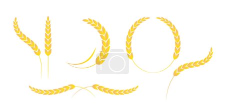 Téléchargez les illustrations : Oreilles de blé ou icône de riz. or jaune blé paddy. Couronne de laurier d'or. Illustration vectorielle - en licence libre de droit