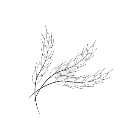 Téléchargez les illustrations : Icône de riz paddy. grain de blé. Biologique. plante de blé. Illustration vectorielle - en licence libre de droit