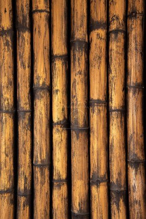 Téléchargez les photos : Texture ou fond de paroi en bambou
. - en image libre de droit