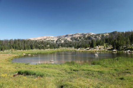 Lago en Shoshone National Forest en Beartooth Mountains, Wyoming