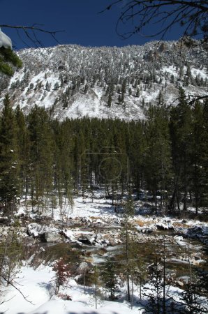 Lake Fork Creek mit frischem Frühlingsschnee in den Beartooth Mountains, Montana