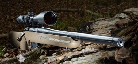 Téléchargez les photos : Fusil de chasse à action par boulon avec une lunette haute puissance dans les bois - en image libre de droit