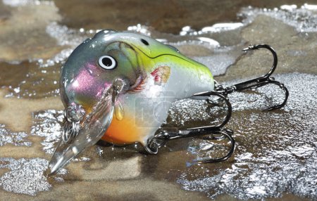 Crankbait used for fishing on a wet rock