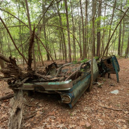 Rouillé et s'effondrant voiture à l'envers dans la forêt sur une colline juste au-dessus du lac Jordan en Caroline du Nord.