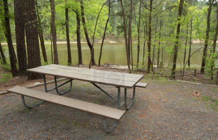 Ruhige Aussicht von einer leeren Picknickbank in einem bewaldeten Campingplatz mit Blick auf das Wasser des Jordan Lake in North Carolina.