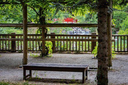 Photo for The Japanese garden in Dijon in autumn colors.. Le jardin japonais a Dijon aux couleurs de l'automne. - Royalty Free Image