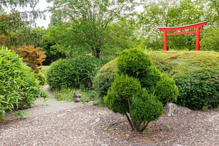 Téléchargez les photos : Le jardin japonais à Dijon aux couleurs d'automne.. Le jardin japonais a Dijon aux couleurs de l'automne. - en image libre de droit