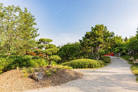 Téléchargez les photos : Le jardin japonais à Dijon aux couleurs d'automne.. Le jardin japonais a Dijon aux couleurs de l'automne. - en image libre de droit