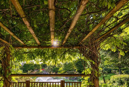 Téléchargez les photos : Le jardin japonais a Dijon en debut d't. Le jardin japonais à Dijon au début de l'été. - en image libre de droit