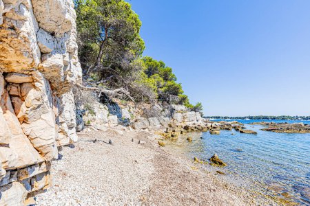 Photo for On the island of Sainte-Marguerite, in the Lrins archipelago opposite Cannes. Sur l'le Sainte-Marguerite, dans l'archipel de Lrins face  Cannes. - Royalty Free Image