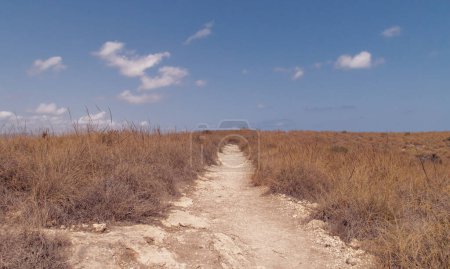 Hiking route between dry grasses in the middle of a semi-desert landscape. Agua Amarga Trail to Cala Enmedio in Nijar, Almeria, Spain.