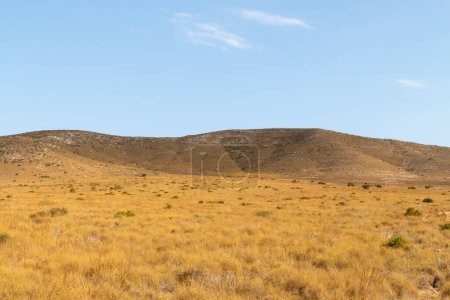 Wüstenlandschaft von Almeria in der Nähe des Bezirks Fernan Perez in Spanien. Steiniger Hügel, im Sommer von einem Meer aus trockenem Gras umgeben.