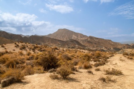 Colinas del Cautivo cerca de Tabernas, Almería, España. Paisaje árido compuesto de colinas y barrancos con poca vegetación.