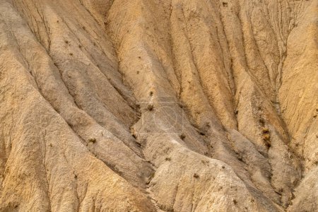 Téléchargez les photos : Gullies dans un ravin dans le désert de Tabernas à Almeria, Espagne. Détail érosif du ravin Genaro dans la région de Cautivo à côté de la ville de Tabernas. - en image libre de droit