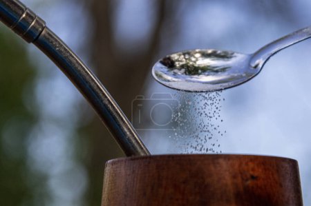 Photo for Step by Step Guide to Preparing Traditional Argentine Mate - Royalty Free Image