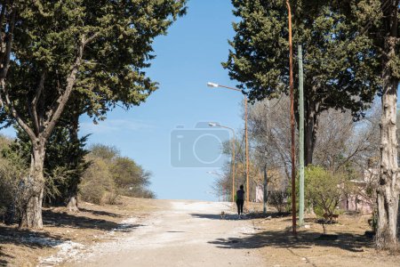 Téléchargez les photos : Vue arrière d'une femme marchant avec un chien le long de la route - en image libre de droit